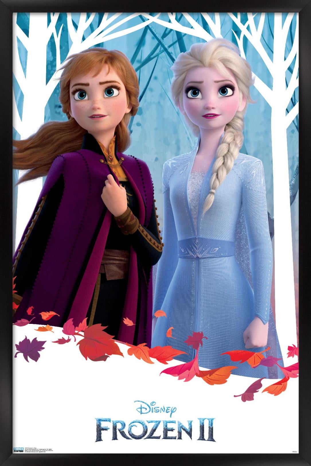 Disney Frozen 2 - Duo Wall Poster, 14.725