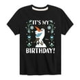 thumbnail image 1 of Disney Frozen - Olaf It's My Birthday - Toddler & Youth Girls Raglan Graphic T-Shirt, 1 of 4