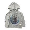 thumbnail image 1 of Disney Frozen Toddler Girls Gray Elsa Courage Is Calling Hoodie Sweatshirt 2T, 1 of 1