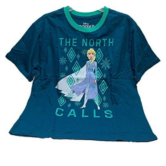 Disney Girl's Frozen 2 Anna and Elsa Graphic Tee (XS (1), North Calls)