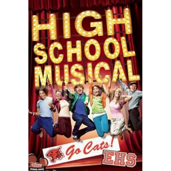 Disney High School Musical Laminated Poster (36 X 24)