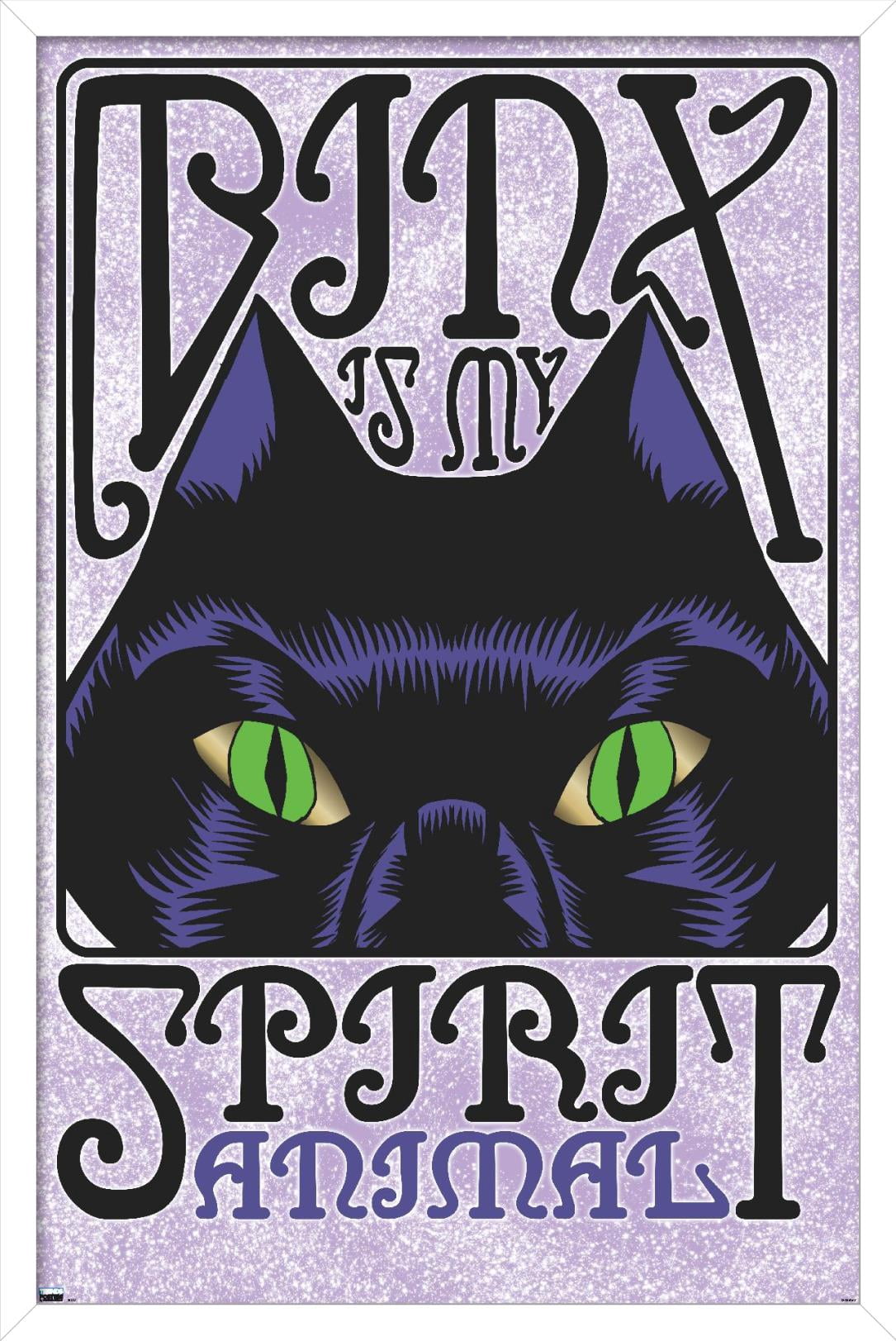 Disney Hocus Pocus - Binx Wall Poster, 22.375" x 34", Framed