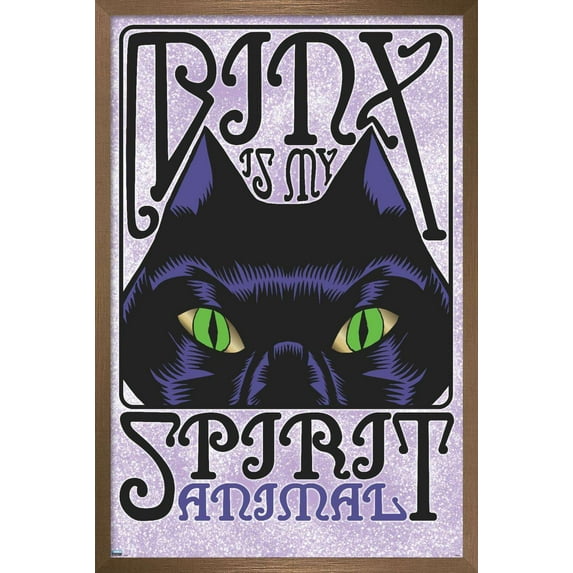 Disney Hocus Pocus - Binx Wall Poster, 22.375" x 34", Framed