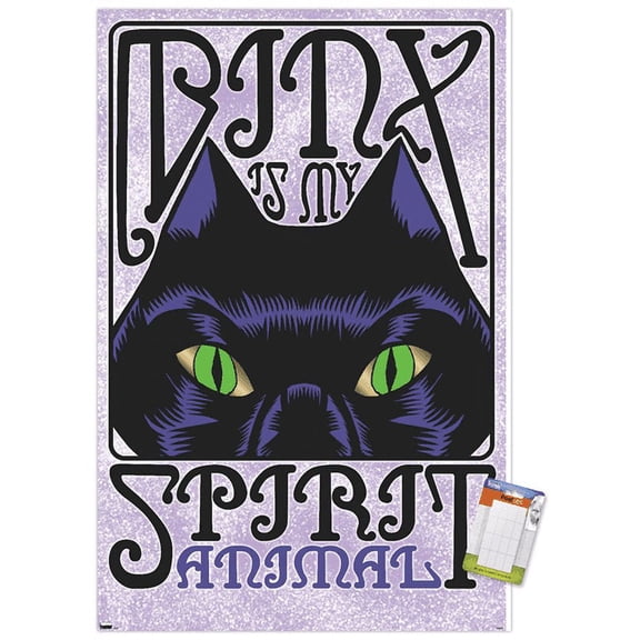 Disney Hocus Pocus - Binx Wall Poster, 22.375" x 34"