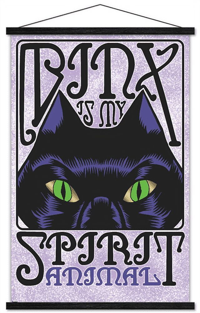Disney Hocus Pocus - Binx Wall Poster with Magnetic Frame, 22.375" x 34"