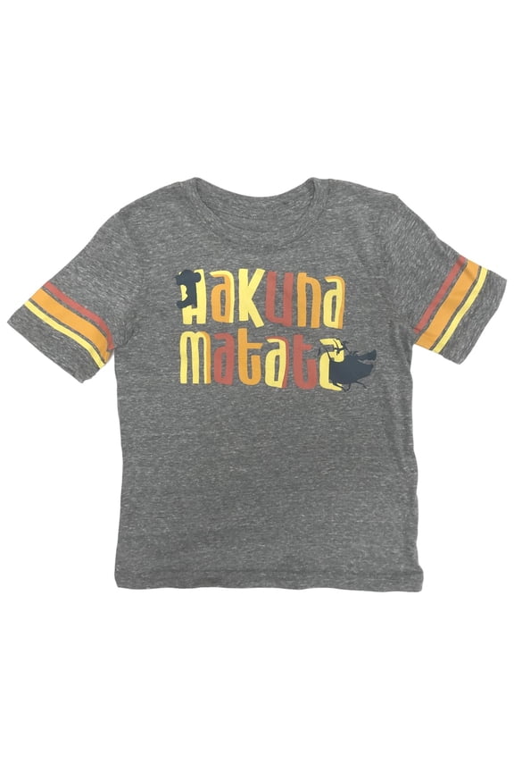 Lion King Boys Gray Short Sleeve Hakuna Matata Simba T-Shirt Shirt 5
