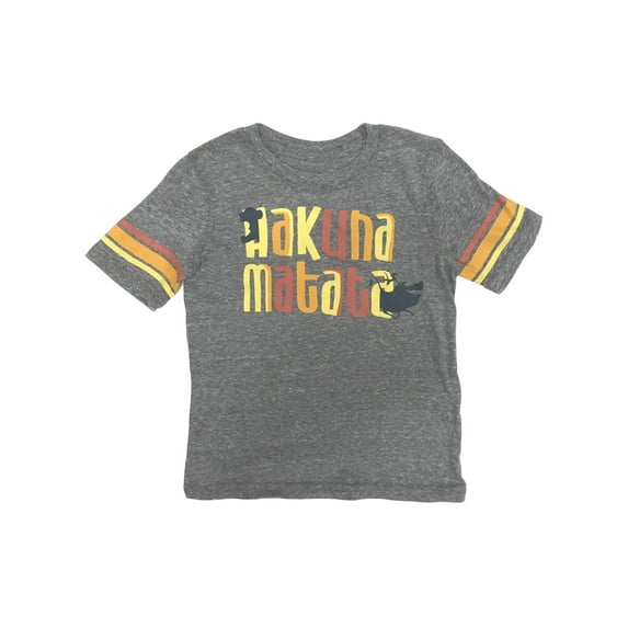Disney Lion King Boys Gray Short Sleeve Hakuna Matata Simba T-Shirt Shirt 8