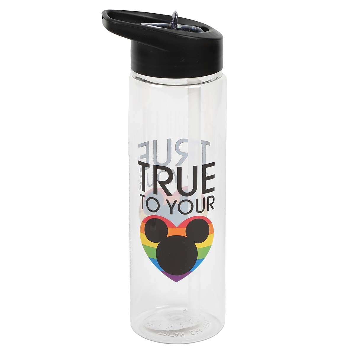 Disney Mickey Mouse Pride Rainbow Icon 16oz Double Wall Water Bottle
