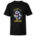thumbnail image 1 of Disney Mickey and Friends Whimsical It’s My Birthday - Short Sleeve T-Shirt for Kids - Customized-Black, 1 of 5