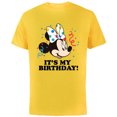 thumbnail image 1 of Disney Minnie Mouse "It's My Birthday!" - Short Sleeve Cotton T-Shirt for Adults -Customized-Yellow, 1 of 5