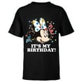 thumbnail image 1 of Disney Minnie Mouse It's My Birthday - Short Sleeve T-Shirt for Kids -Customized-Black, 1 of 5