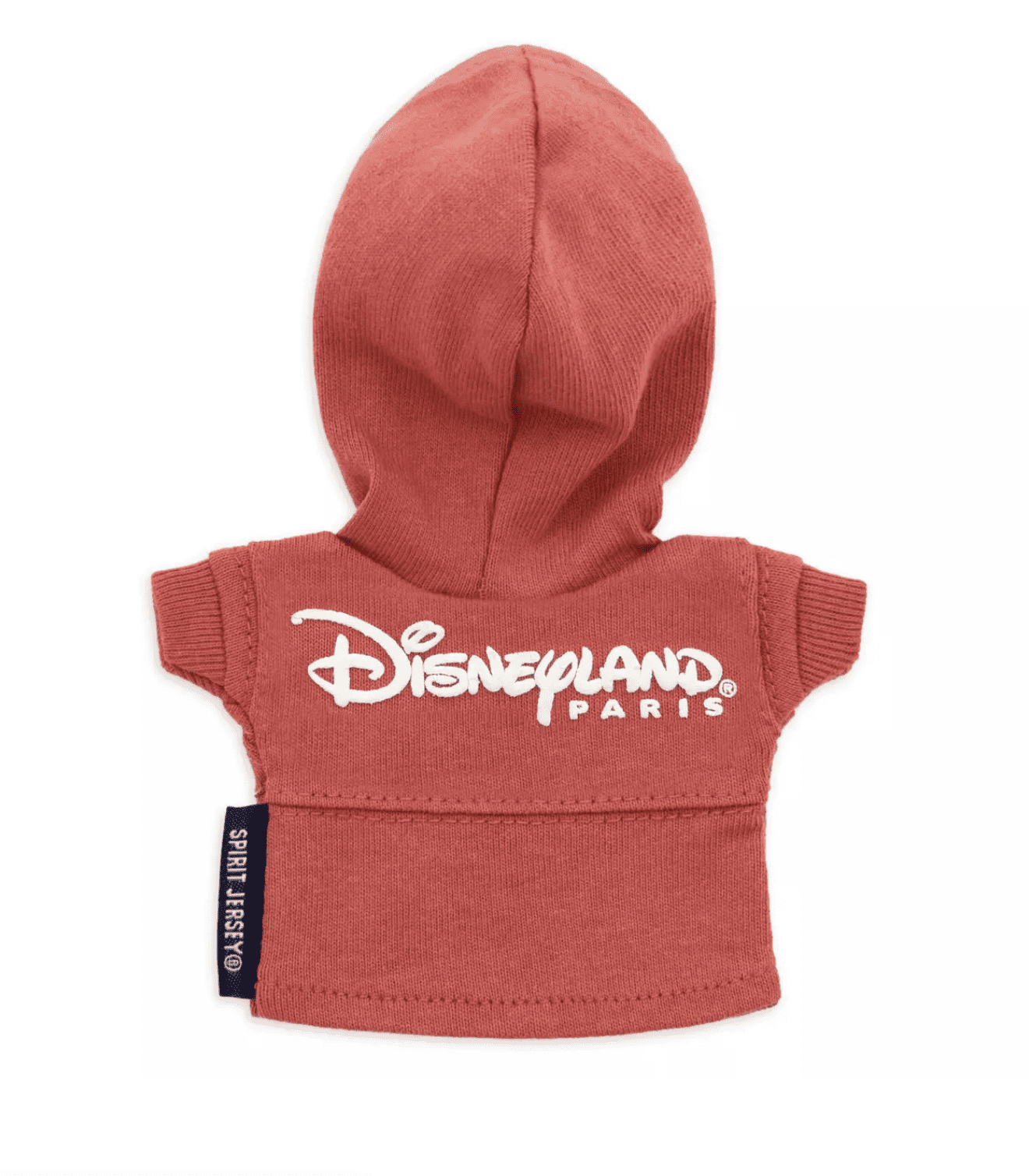 Disneyland spirit top jersey hoodie