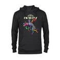 thumbnail image 1 of Disney PIXAR Coco Dante I'm So Fly T-Shirt - Pullover Hoodie for Adults - Customized-Black, 1 of 5