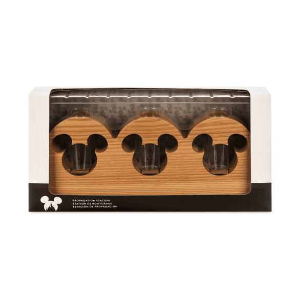 Disney Parks Home Collection Mickey Icon Wood Propagation Station New with Box