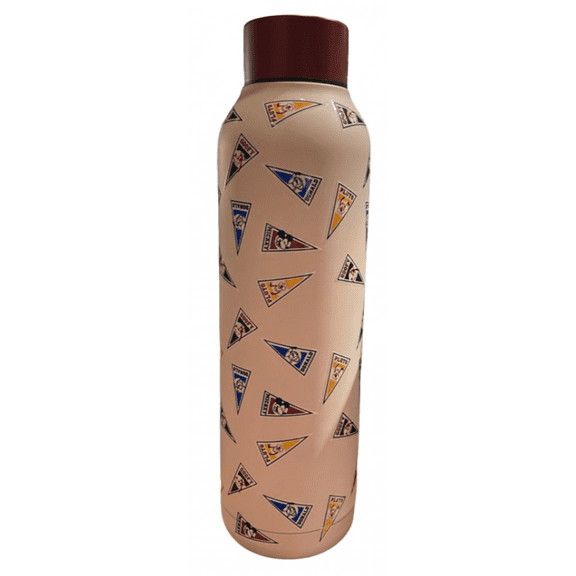 Disney Parks Mickey Mouse and Friends Flags Water Bottle New With Tag