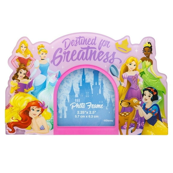 Disney Parks Princess Destined for Greatness Magnet New
