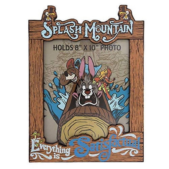Disney Parks Splash Mountain 8"x10" Photo Picture Frame hard to find ...