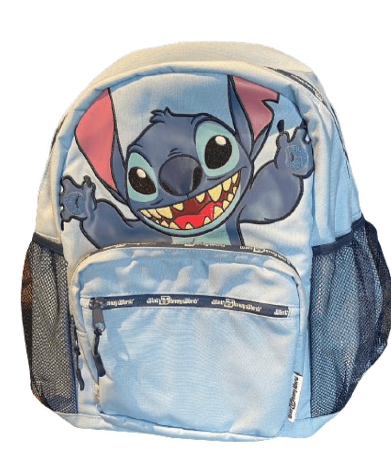 Disney World Backpack