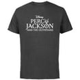 thumbnail image 1 of Disney Percy Jackson and the Olympians Series Title Logo - Short Sleeve Cotton T-Shirt for Adults - Customized-Charcoal, 1 of 5