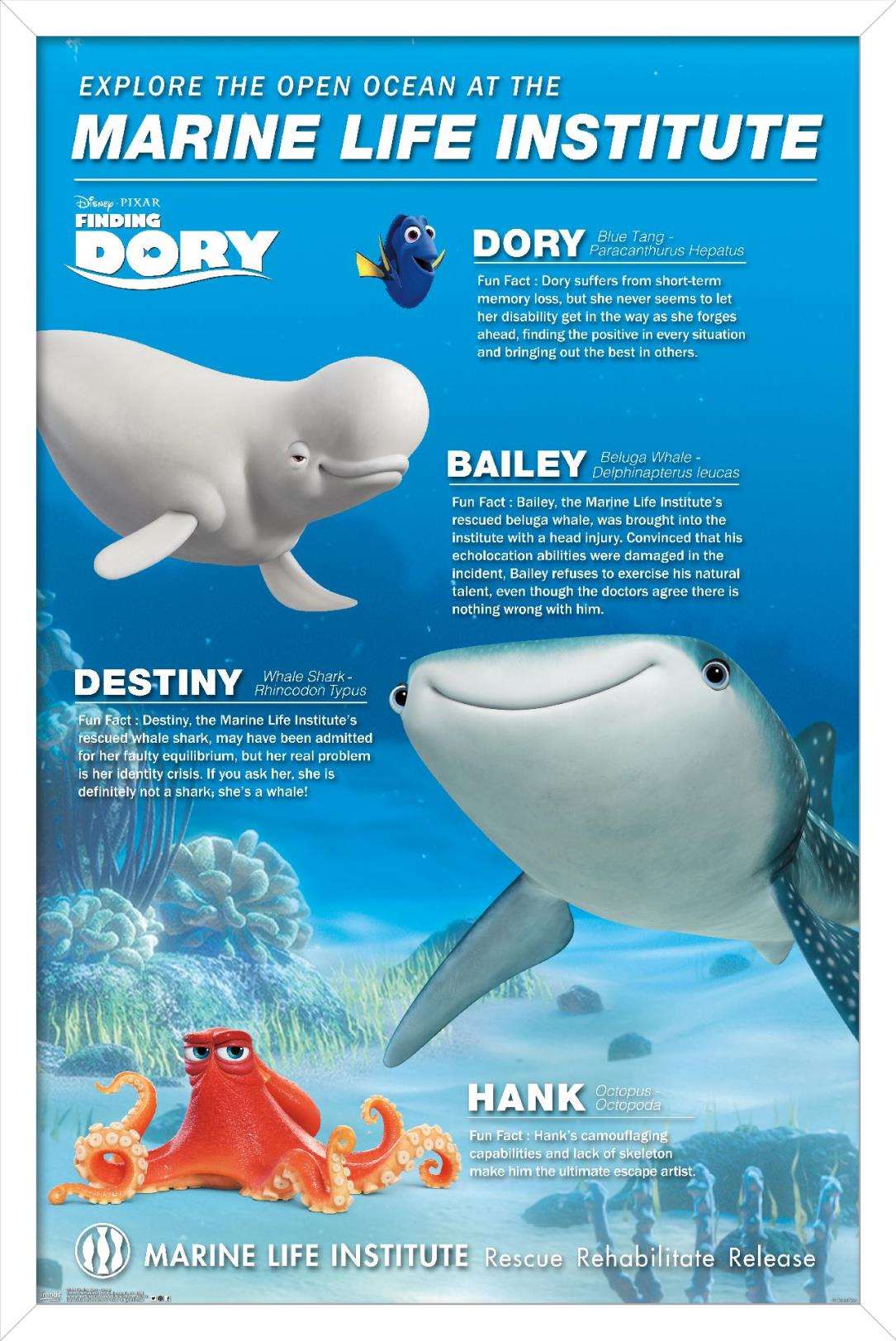 Disney Pixar Finding Dory - Group Wall Poster, 14.725" x 22.375", Framed