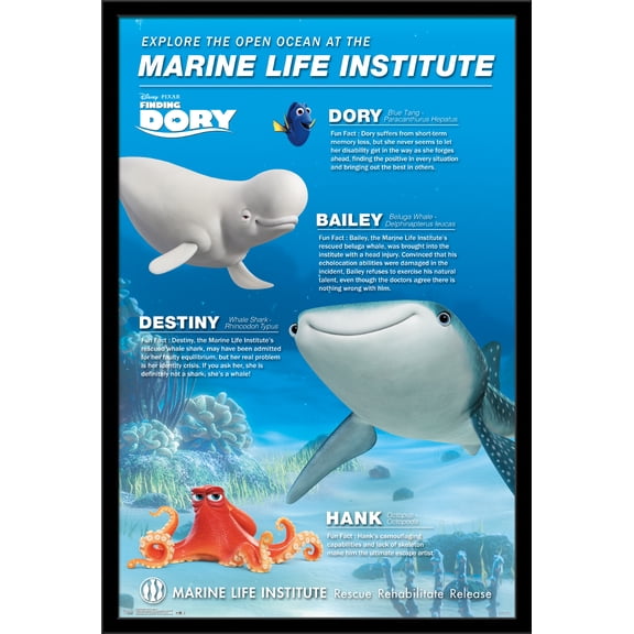 Disney Pixar Finding Dory - Group Wall Poster, 22.375" x 34", Framed