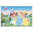 thumbnail image 1 of Disney Princess - Collection Wall Poster, 14.725" x 22.375", Framed, 1 of 3