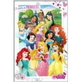 thumbnail image 1 of Disney Princess - Framed TV Show / Movie Poster (11 Princesses) (Size: 25" X 37") (Shiny White Aluminum Frame), 1 of 6