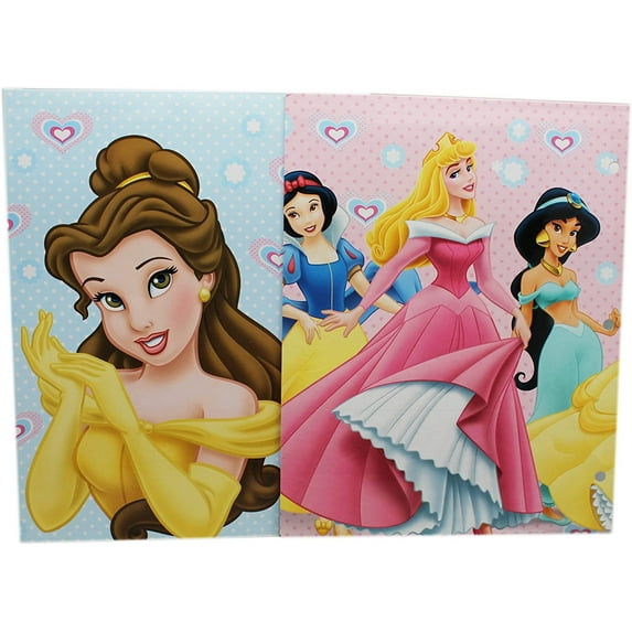 Disney Princess Light Blue and Pink Colored Homework Folders (2 Folders)