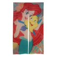 Disney Princess The Little Mermaid Ariel Cartoon Blackout Cute Door