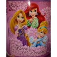 thumbnail image 1 of Disney Princess Throw Ariel Mermaid Rapunzel Cinderella Micro Raschel Blanket, 1 of 1