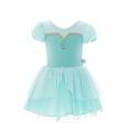 thumbnail image 1 of Disney Princess Toddler Girls Jasmine Cosplay Tutu Dress with Ruffle Sleeves, Sizes 12M-5T, 1 of 7