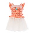 thumbnail image 1 of Disney Princess Toddler Girls Moana Cosplay Tutu Dress with Flutter Sleeves, Sizes 12M-5T, 1 of 5