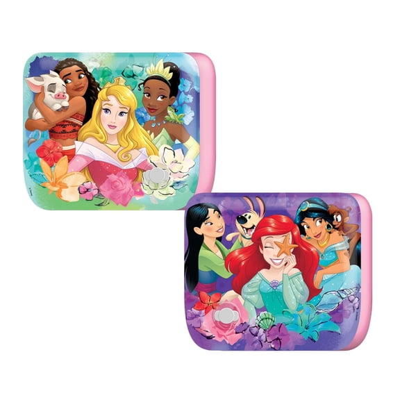 Disney Arm Floats Princess