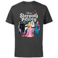 thumbnail image 1 of Disney Sleeping Beauty Characters T-Shirt - Short Sleeve Cotton T-Shirt for Adults - Customized-Charcoal, 1 of 5