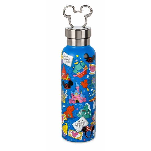 Disney Stainless Steel Water Bottle Play in the Park with Clip