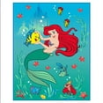 thumbnail image 1 of Disney Super Soft Plush Raschel Blanket, Twin Size - Machine Washable, 1 of 3