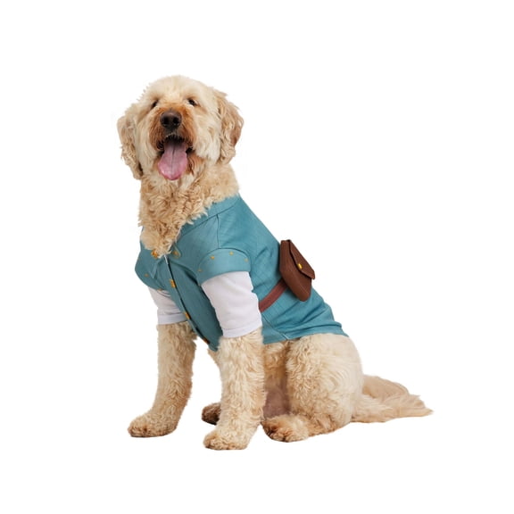 Disney Tangled Flynn Rider Costume for Pets