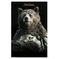 thumbnail image 1 of Disney The Jungle Book - Baloo Wall Poster, 14.725" x 22.375", Framed, 1 of 5