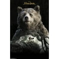 thumbnail image 1 of Disney The Jungle Book - Baloo Wall Poster, 22.375" x 34", 1 of 4