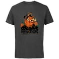 thumbnail image 1 of Disney The Lion King 30th Timon Pumbaa Worried ‘Bout Nothing - Short Sleeve Cotton T-Shirt for Adults - Customized-Charcoal, 1 of 5