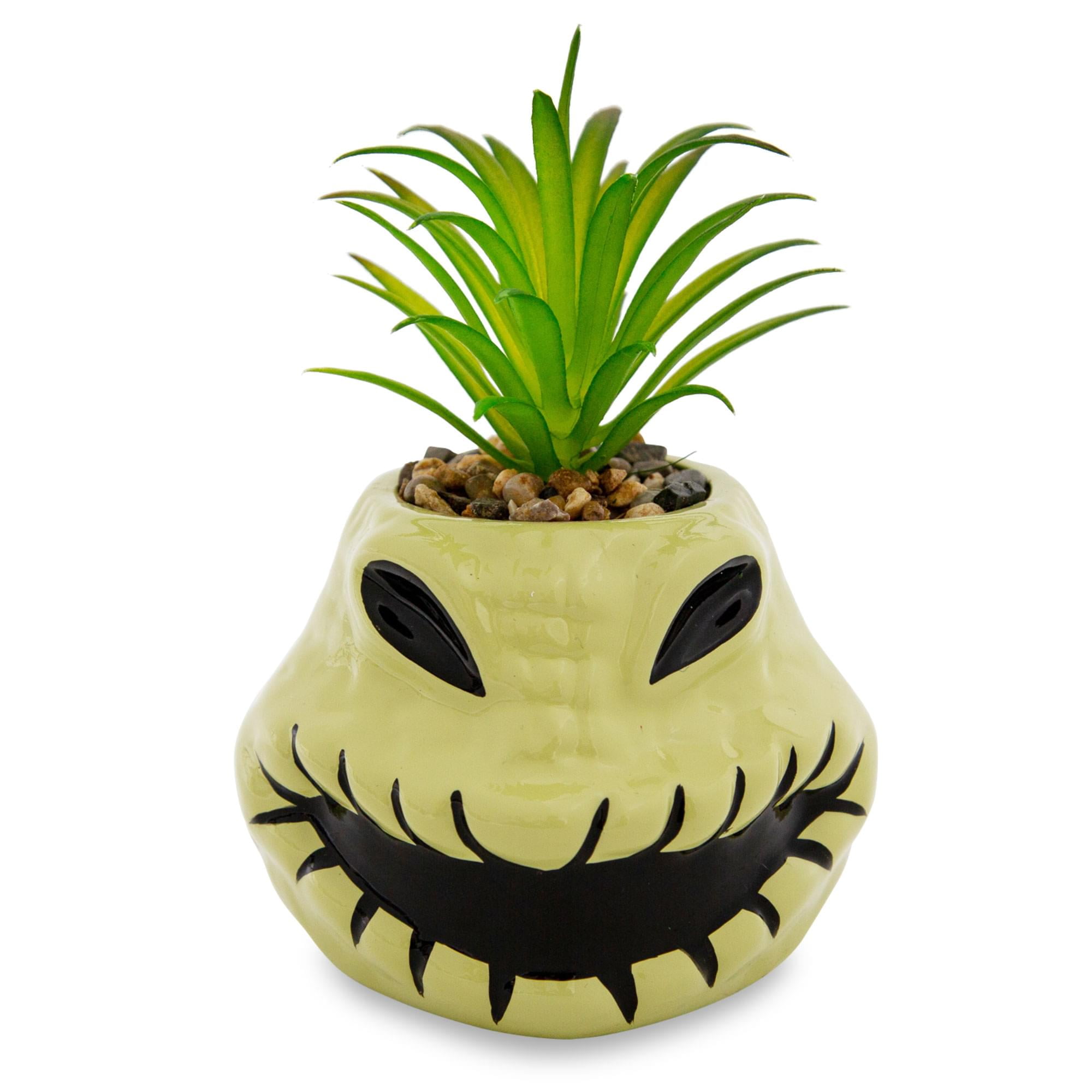 Nightmare Before Christmas Succulents