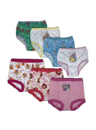 Disney Junior, Hanes, Accessories, 2t Purple Minnie Potty Training Pants  Hipsters Hanes Panty Underwear Girls