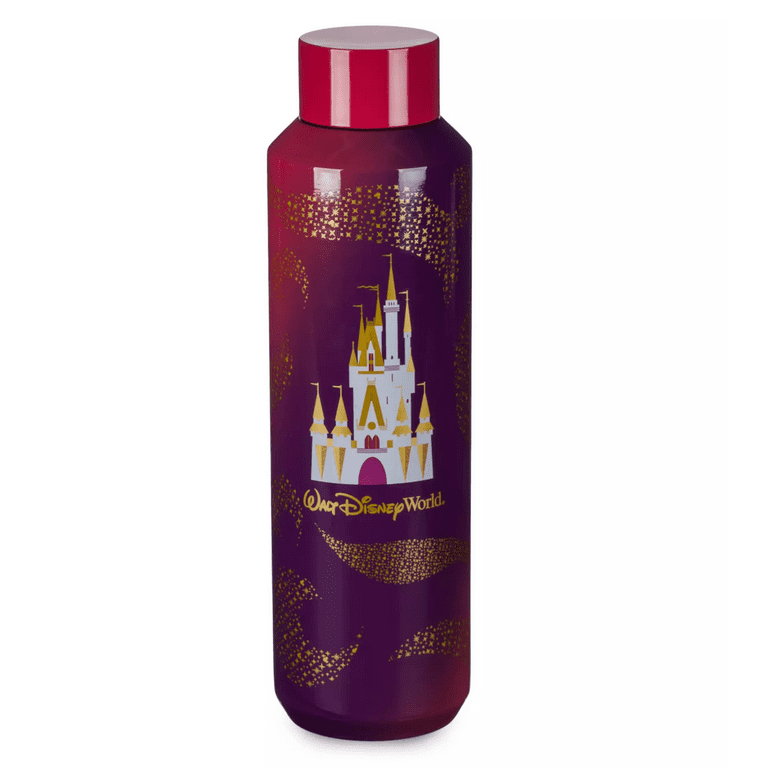 Disney Walt Disney World Cinderella Castle 20 oz Stainless