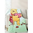 thumbnail image 1 of Disney Winnie The Pooh Silk Touch Throw Blanket 60x70in, 1 of 7