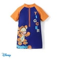 thumbnail image 1 of Disney Winnie the Pooh Baby Boys Girls Swimsuits Zipper Rash Guard One Piece Bathing Suit Sizes 3M-18M, 1 of 6