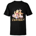 thumbnail image 1 of Disney Winnie the Pooh It’s My Birthday - Short Sleeve T-Shirt for Kids - Customized-Black, 1 of 5