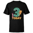 thumbnail image 1 of Disney Winnie the Pooh & Piglet Birthday 3 Years Old Today - Short Sleeve T-Shirt for Kids - Customized-Black, 1 of 5