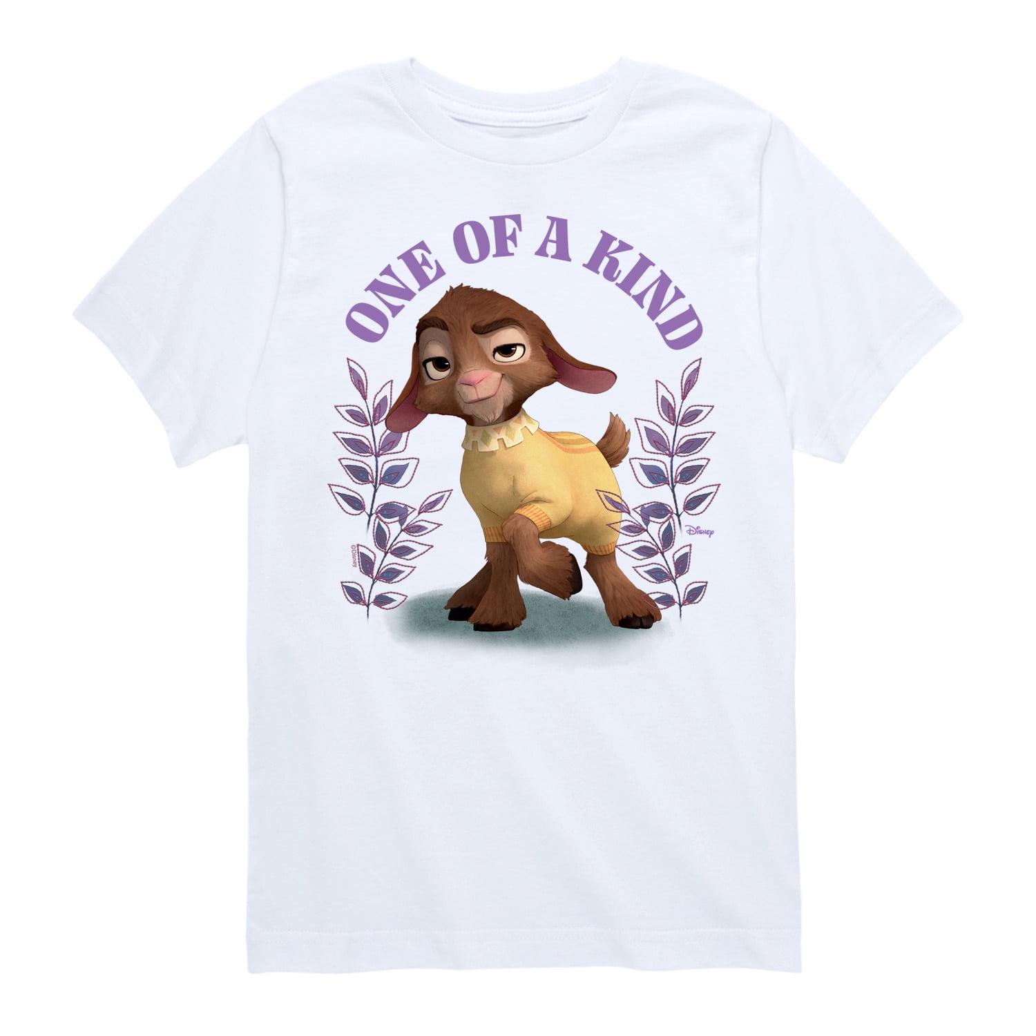 Disney Wish - Valentino One Of A Kind - Toddler & Youth Short Sleeve ...