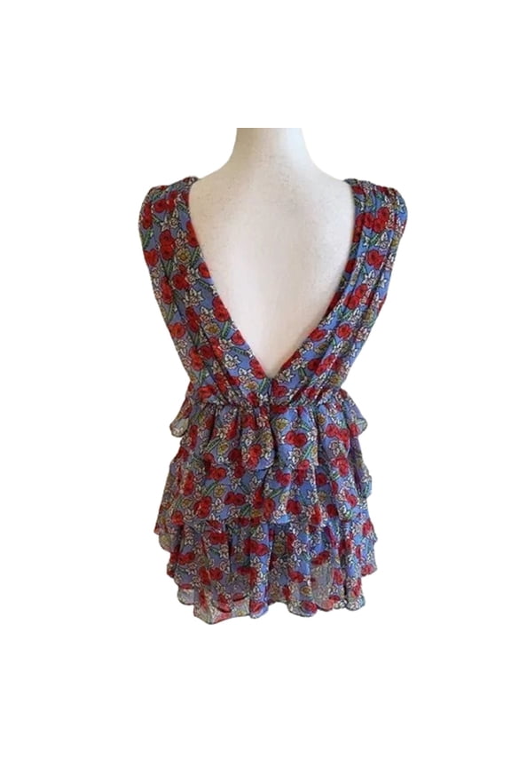 Womens Through The Looking Glass Flower Ruffle Dress Size Small Color Blue Floral