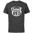 thumbnail image 1 of Disney and Pixar’s Turning Red Movie Logo - Short Sleeve Cotton T-Shirt for Adults - Customized-Charcoal, 1 of 5